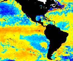 El Nino Map