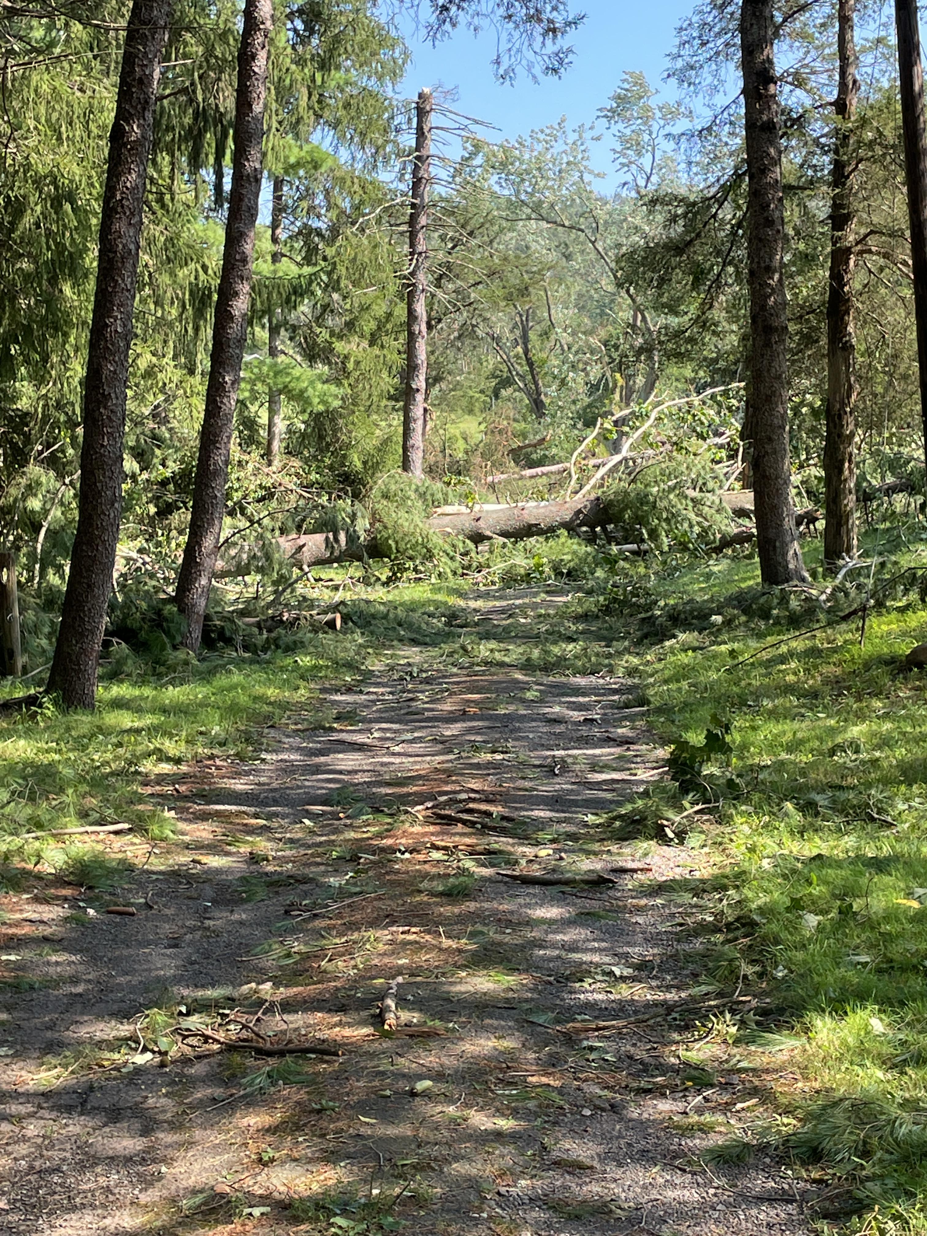 Environment