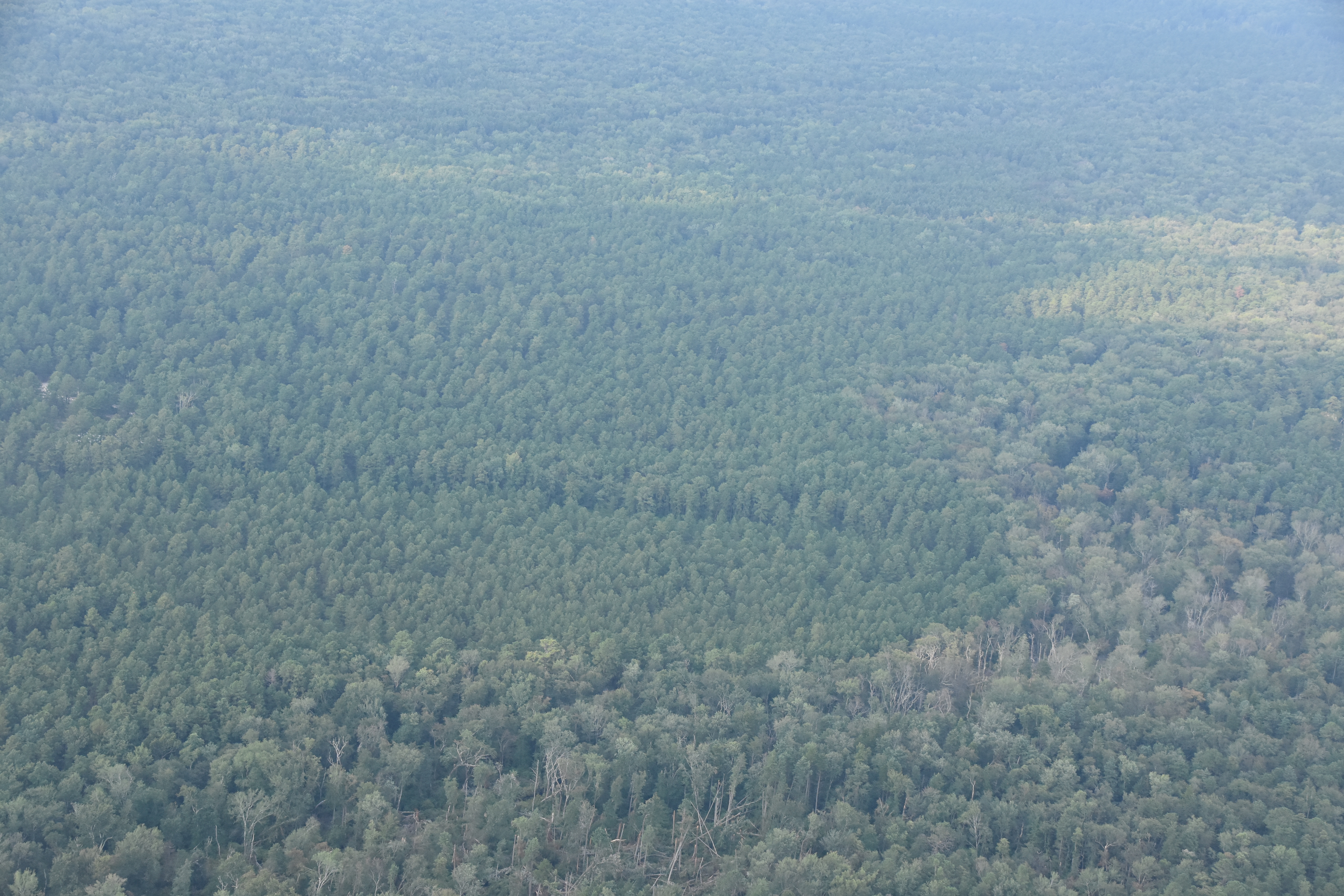 Environment