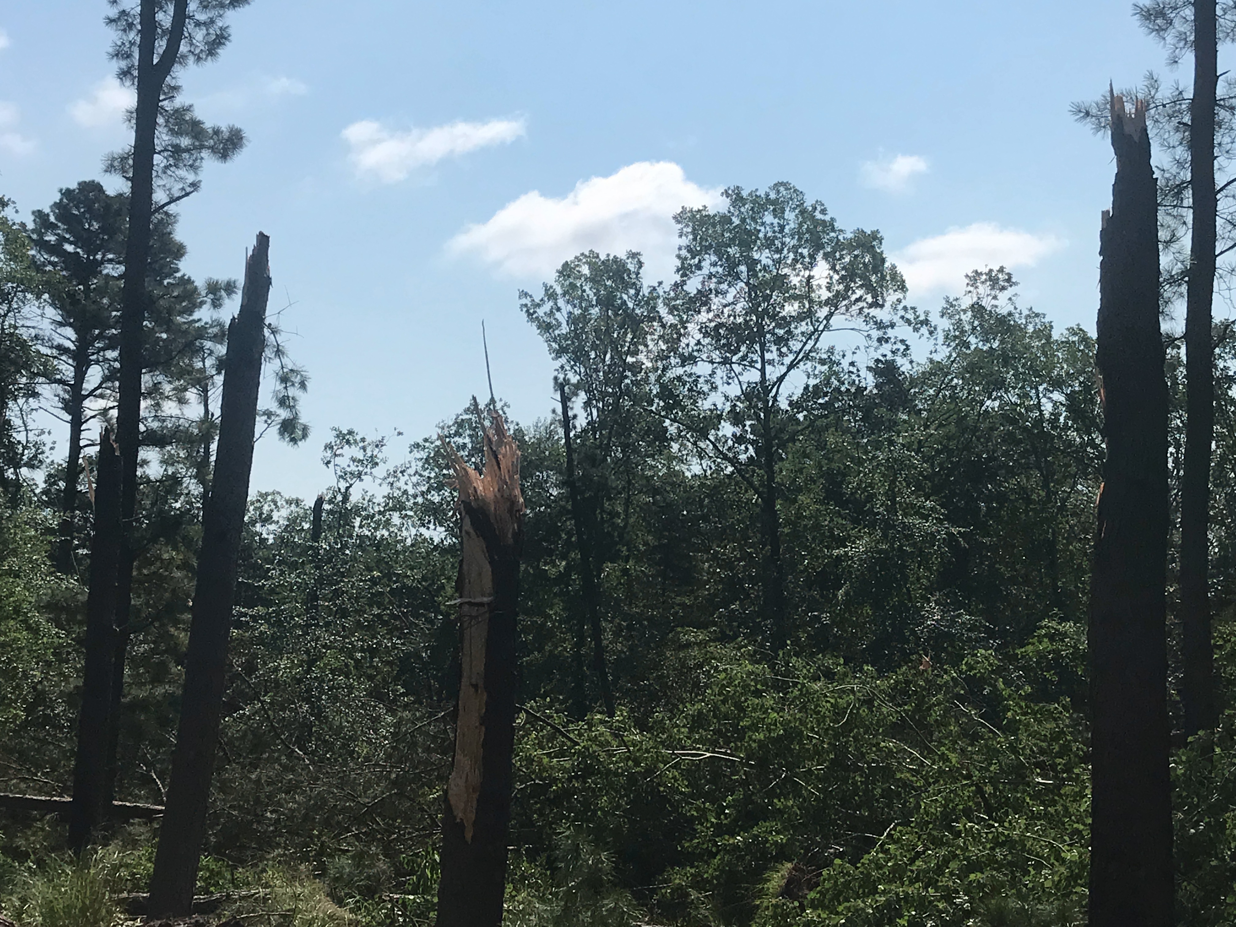 Environment