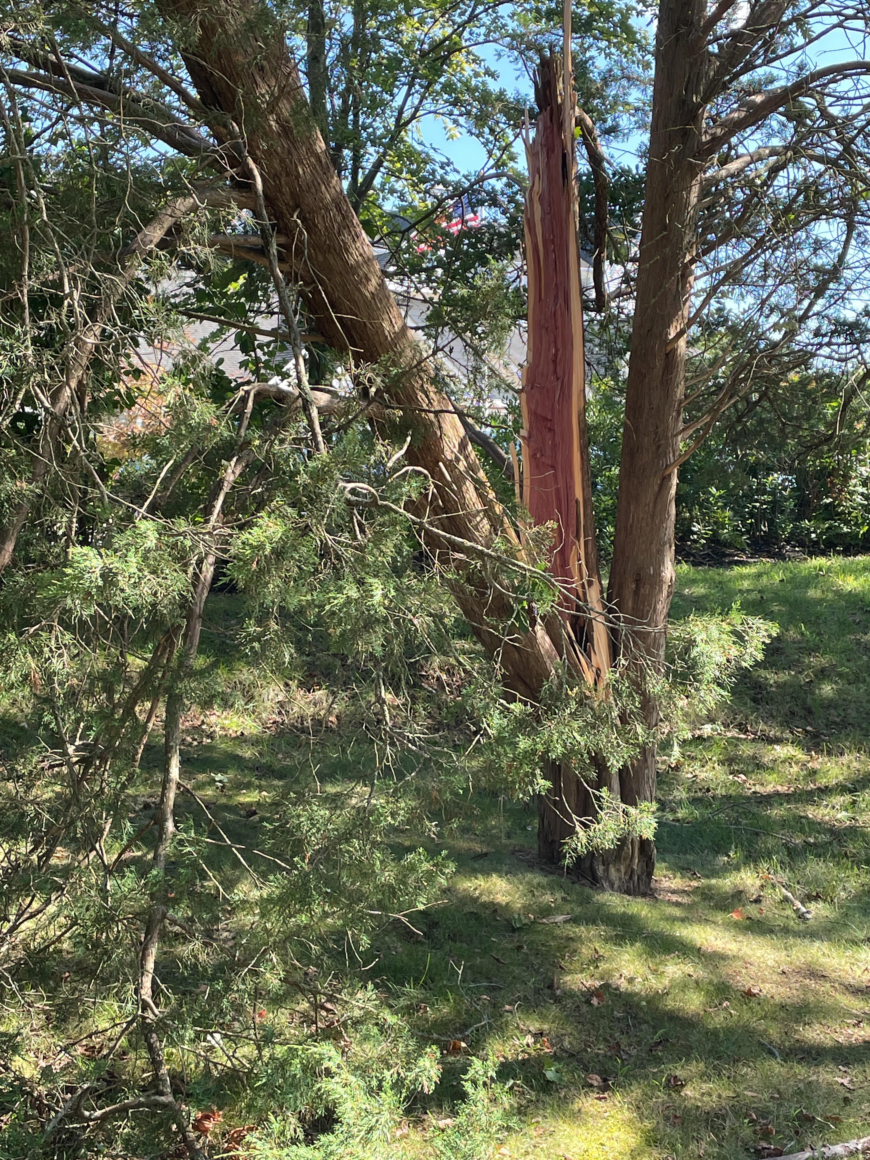 Environment
