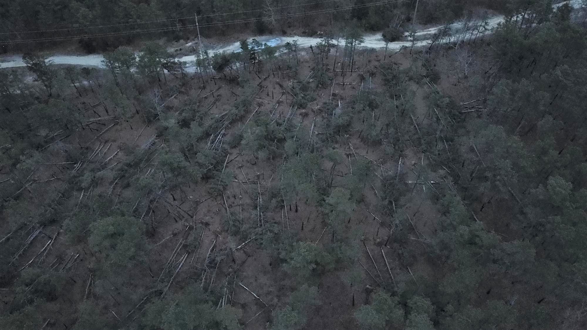 Environment