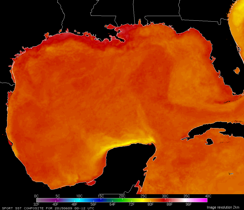 Gulf Of Mexico Sea Surface Temperature Map