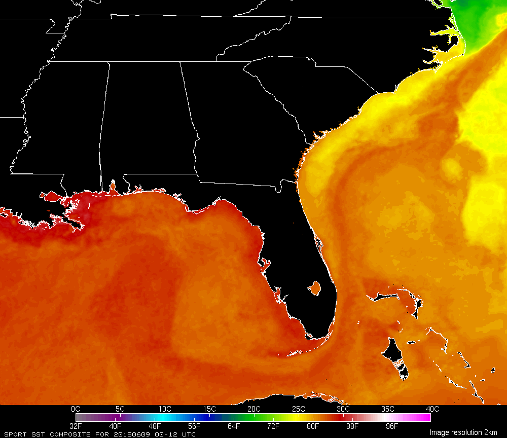 Gulf Of Mexico Sea Surface Temperature Map