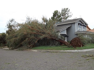 Damage photo 29th Greenway