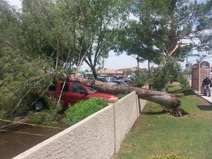 Damage photo 40th Greenway