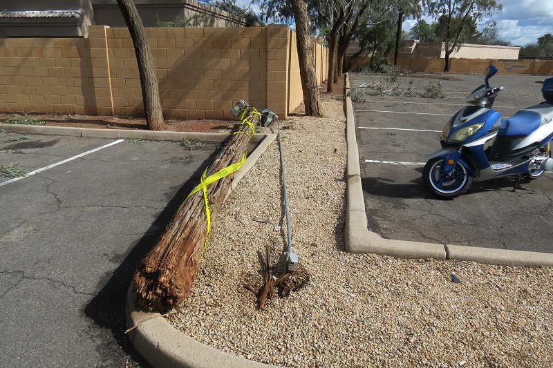 Downed Power Pole