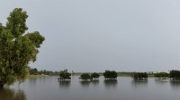 Mesa Flooding