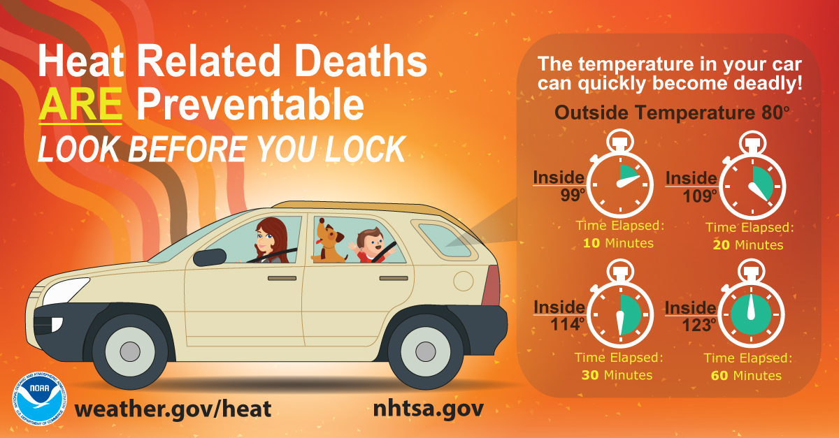 heat safety graphic