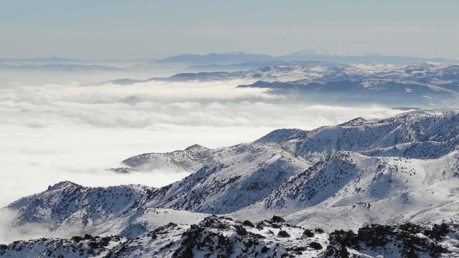 Snow & Avalanche