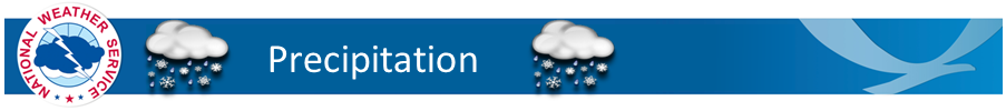 Precipitation Banner