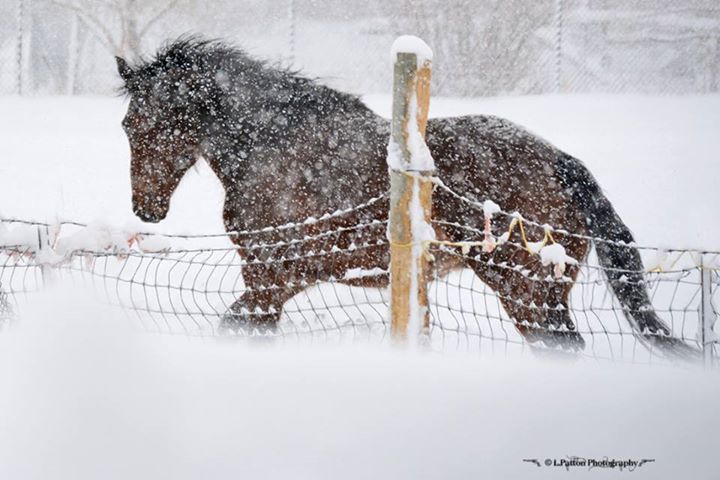 Image result for rock springs WY winter blizzard