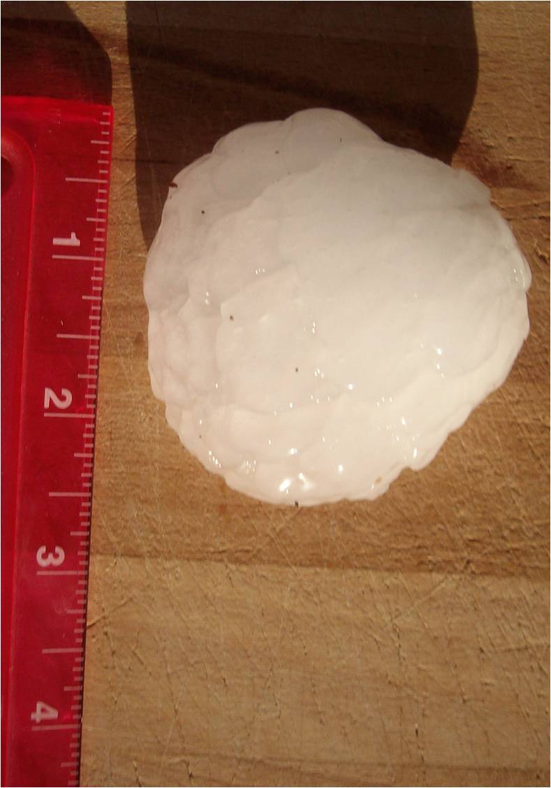 Picture of larrg hail that fell in Greybull, WY