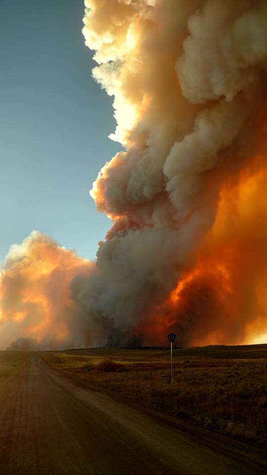 Plume Dominated Fire Plume Dominated Fire