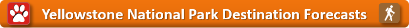 Yellowstone National Park Destination Banner