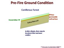 Pre-Fire Ground Condition
