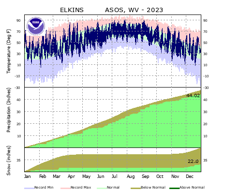 the thumbnail image of the Elkins, WV Climate Data