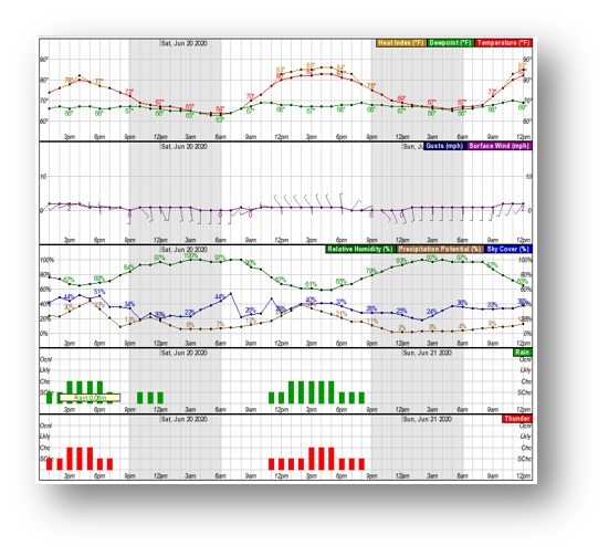 Hourly Weather Forecast Information