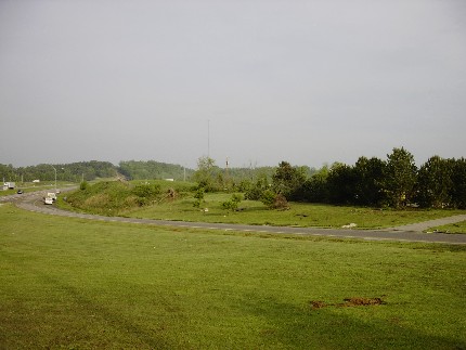 Tree Damage
