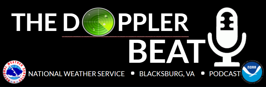 The Doppler Beat Logo