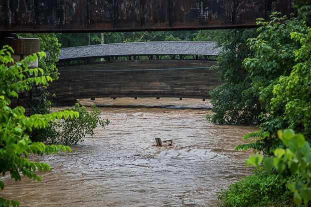 Humpback Bridge near Covington, VA