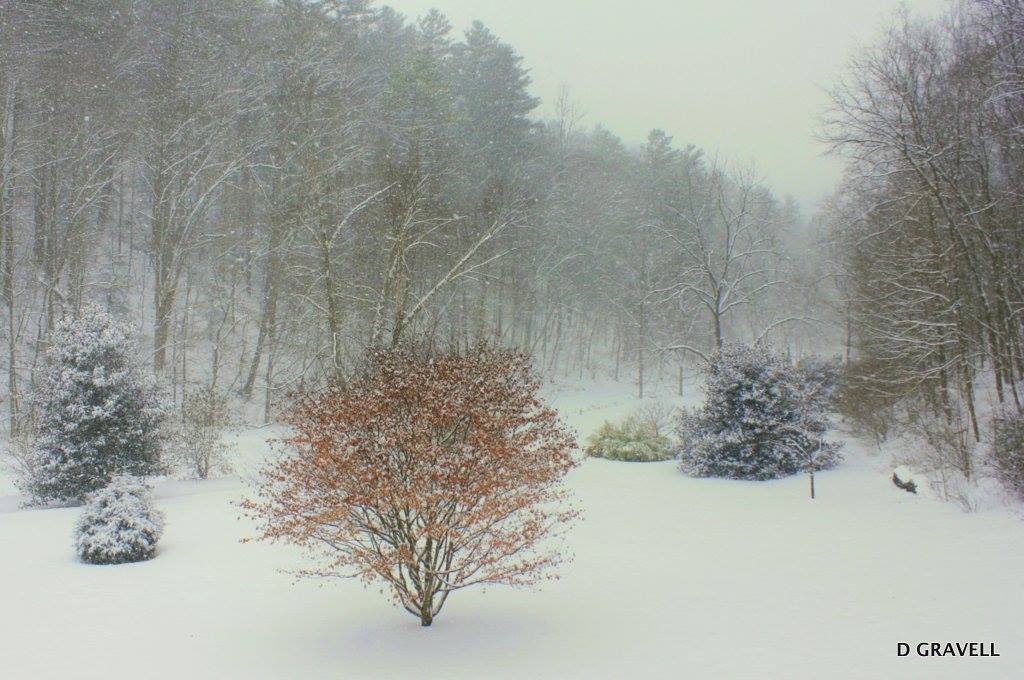 Alleghany Springs, VA 