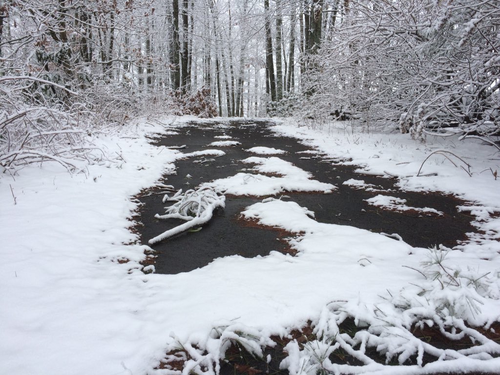 Ennice, NC