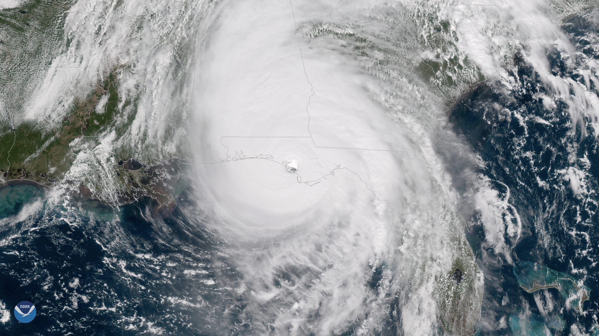 Satellite Image of Michael 
