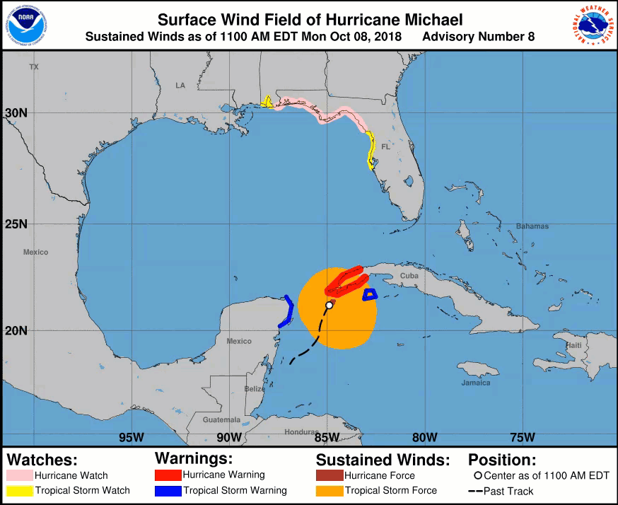Track Animation of Michael
