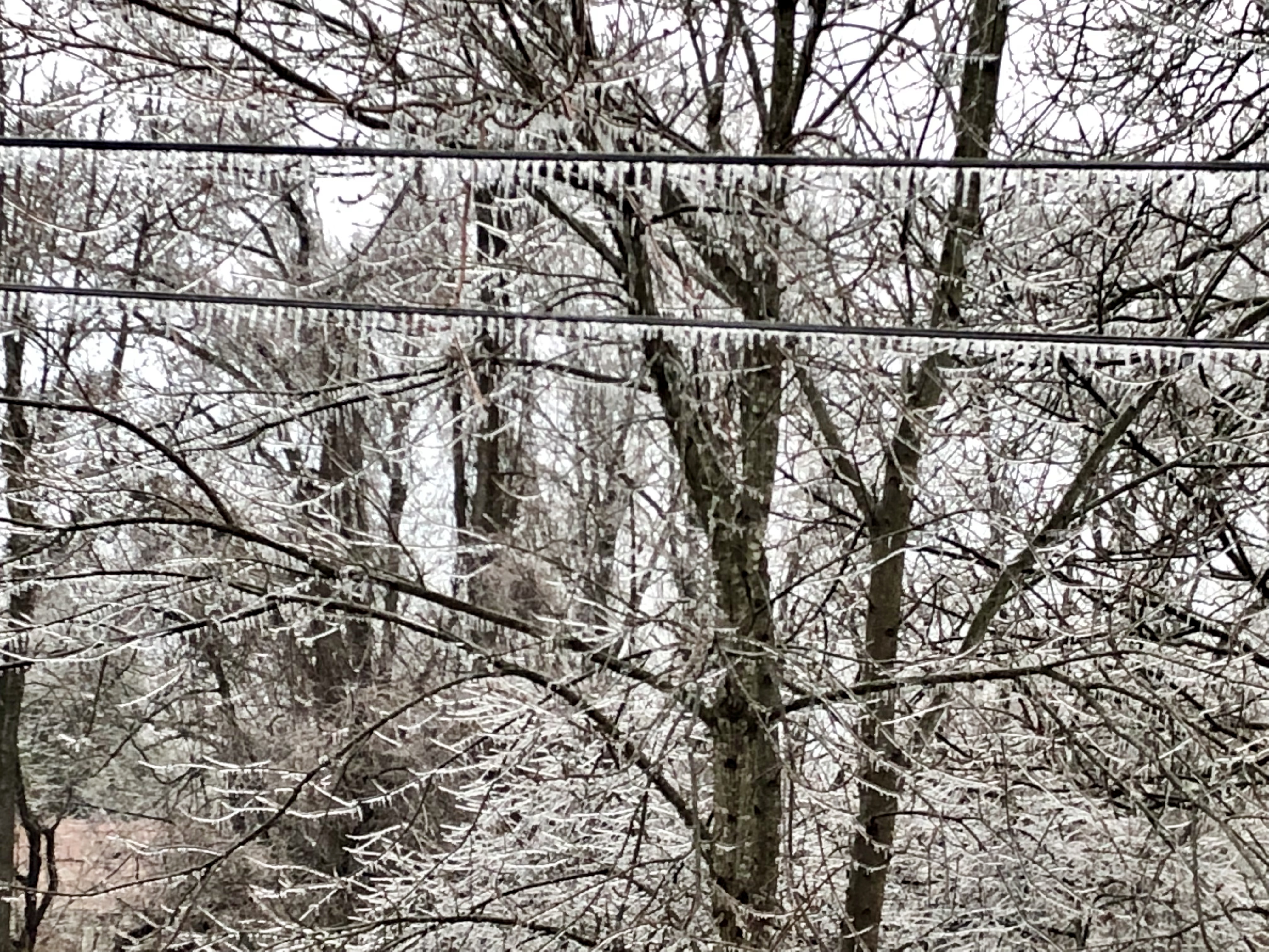 Ice on the Lines and Trees in Booneville NC