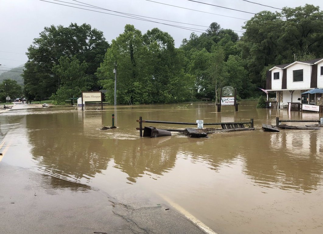 Dutch Creek/Watauga River June 9th