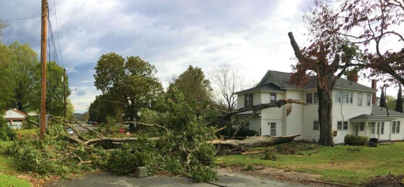 Tree Downed in Rockingham County, NC