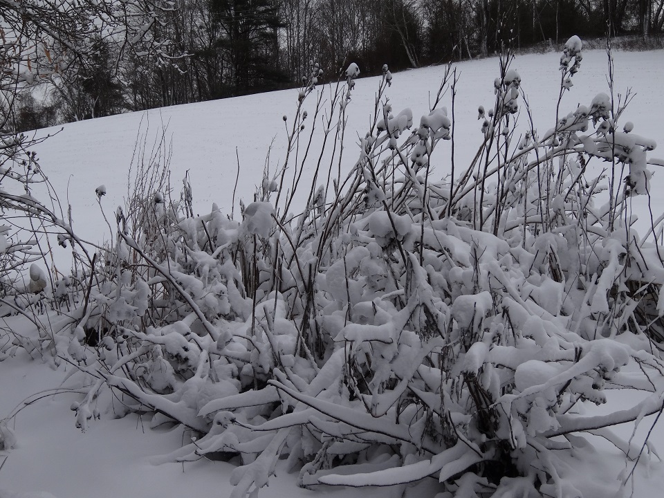 Hebron, VA snow