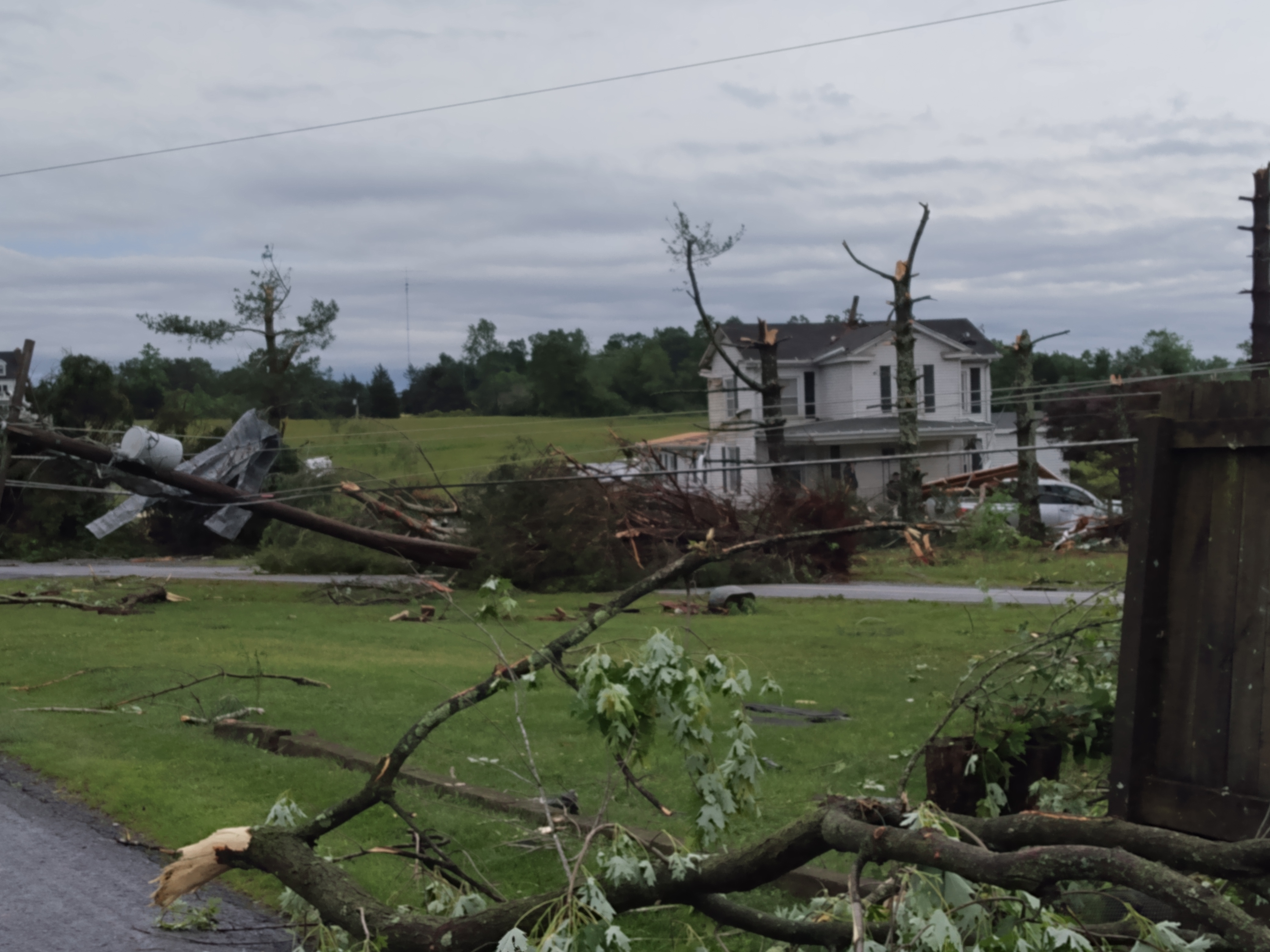 Trees and Power lines snapped/damaged