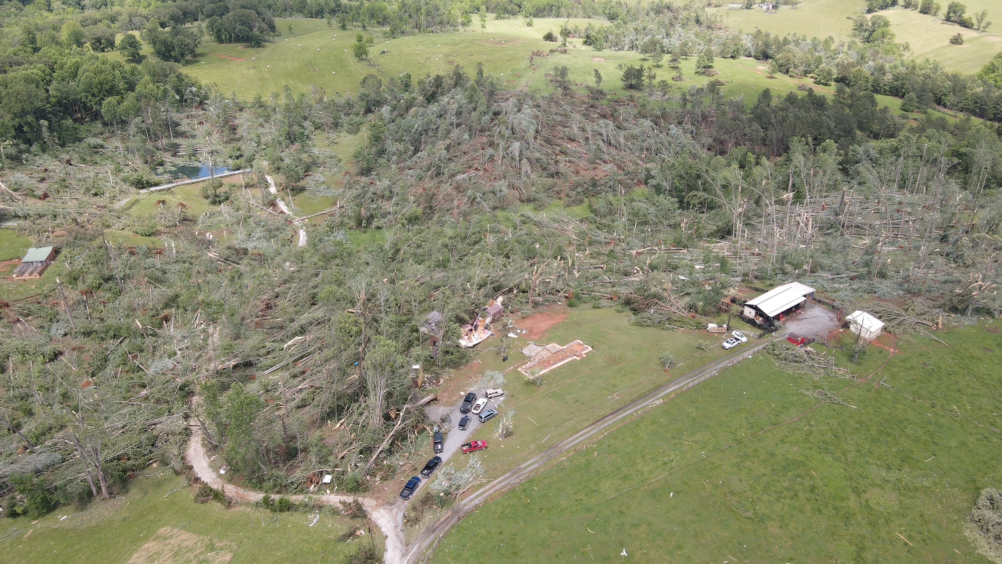 Drone Footage of Tree Damage