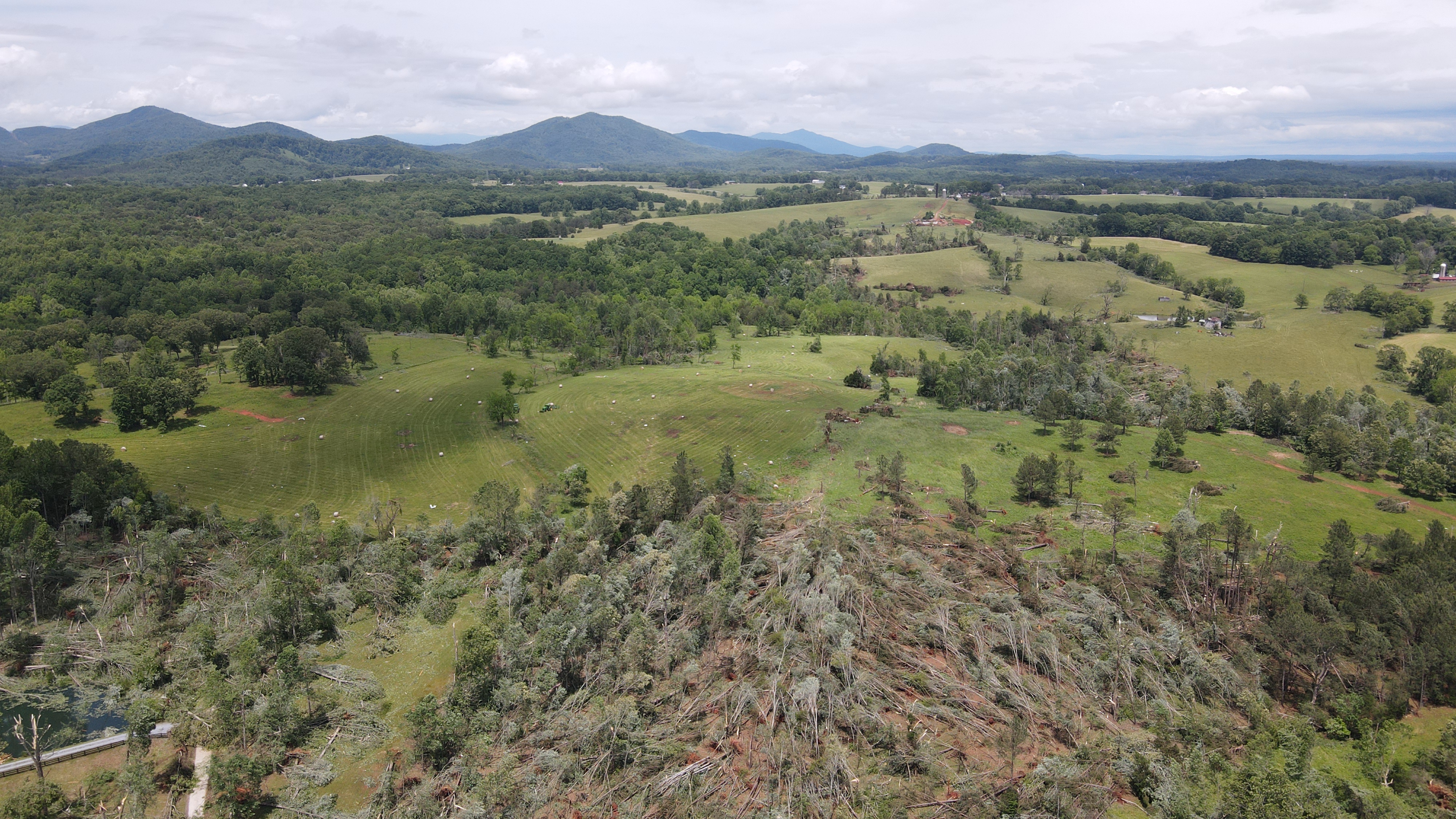 Drone footage showing trees converging