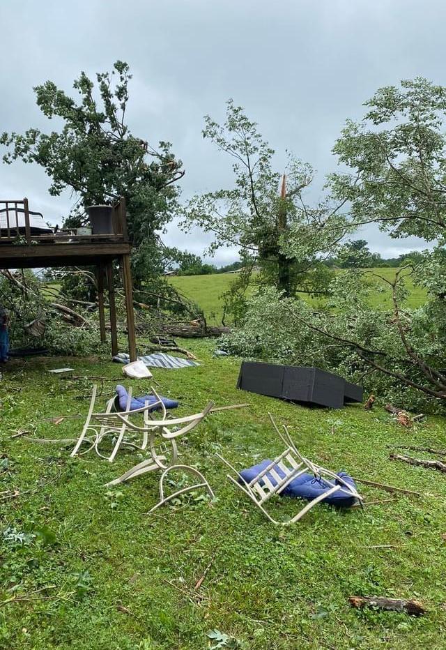 Damage to Deck and Trees