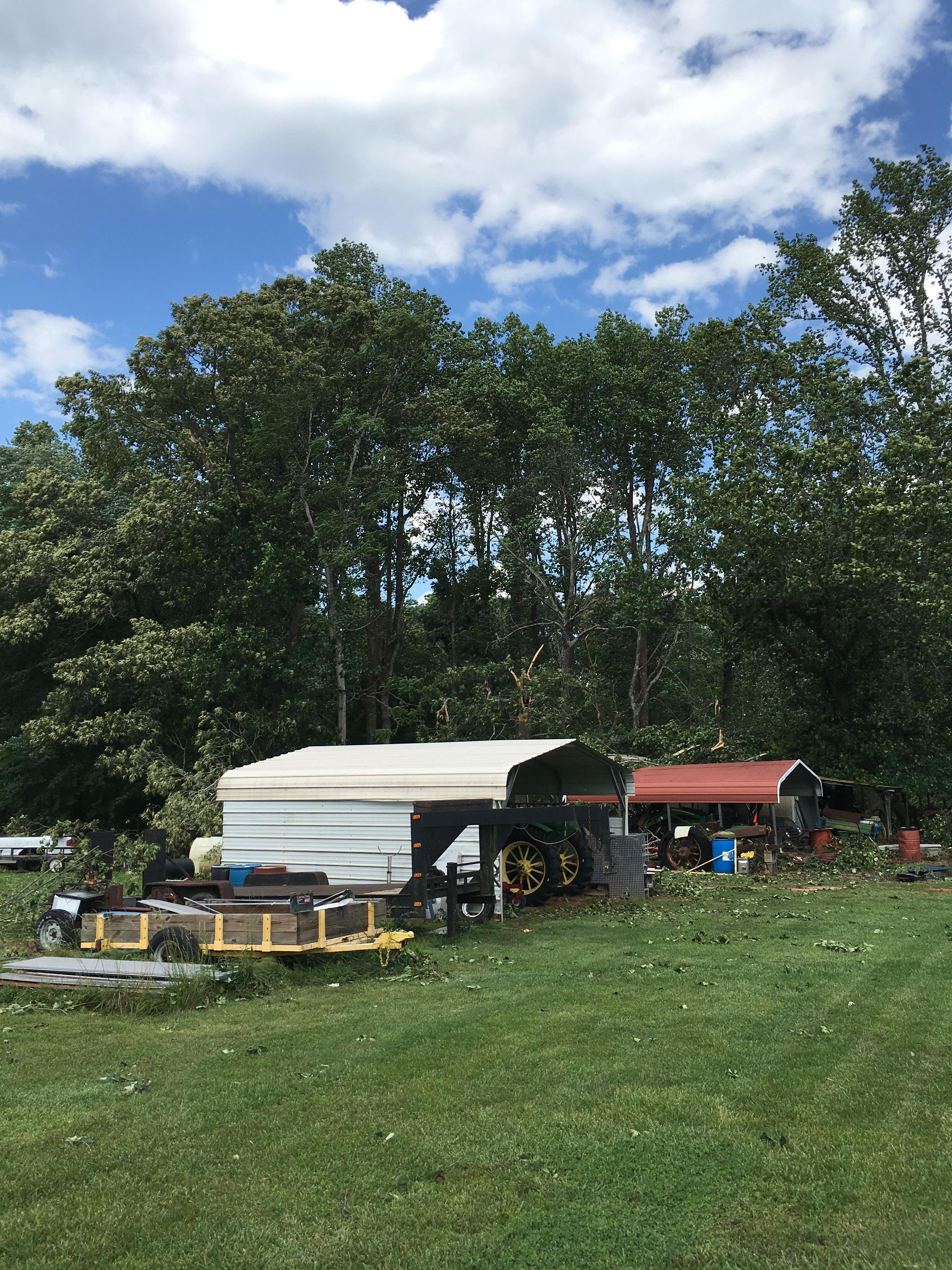 Tree and Shed Damage