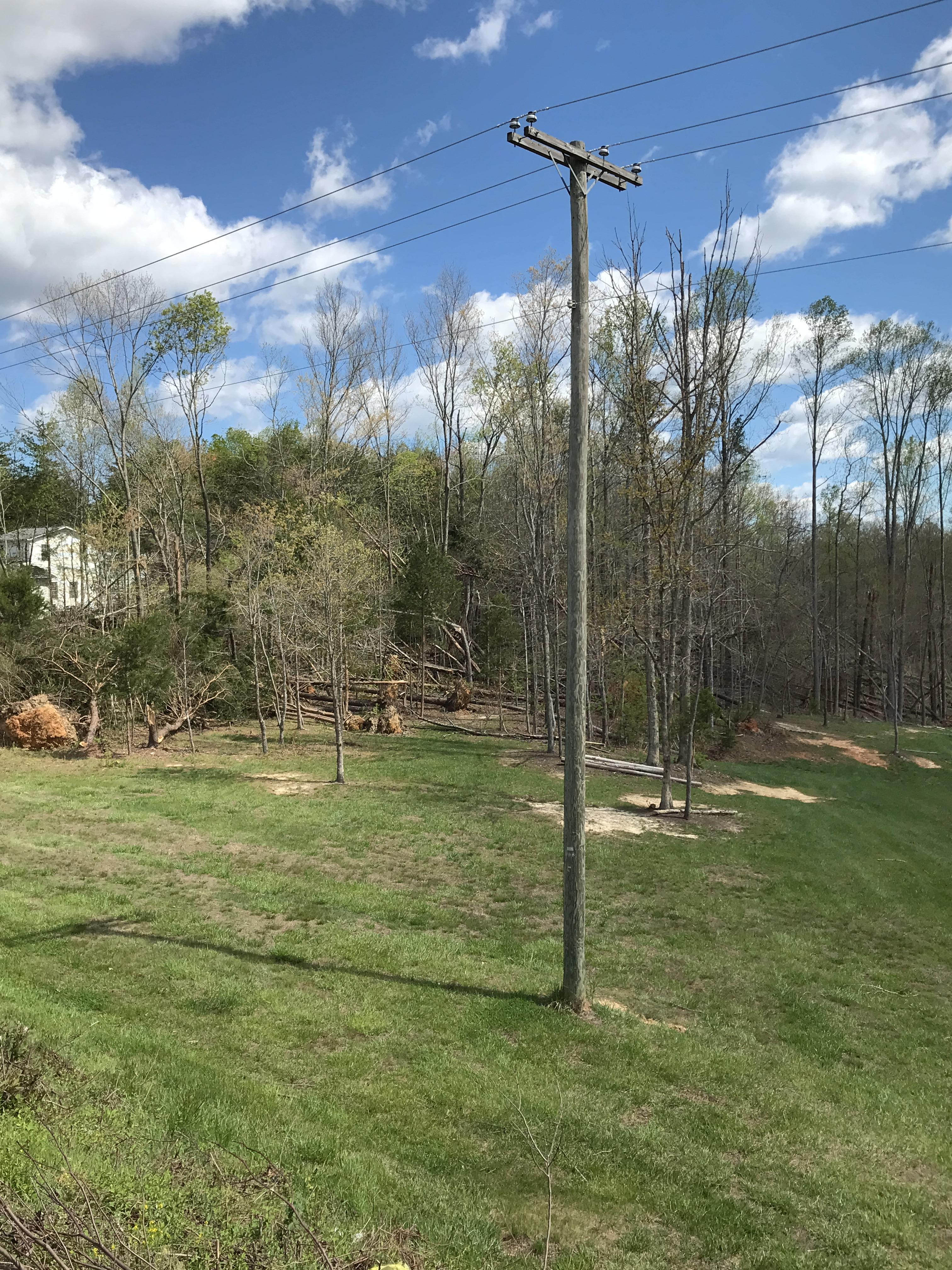 Trees down near Franklin Turnpoke