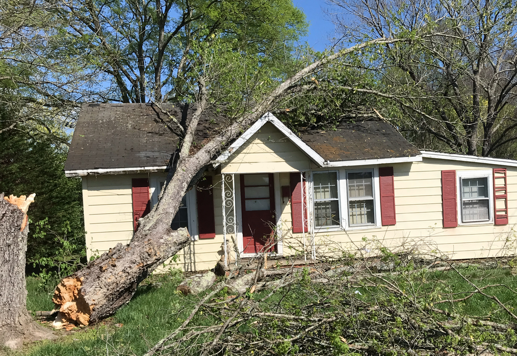 Tree on home Wilkes County damage