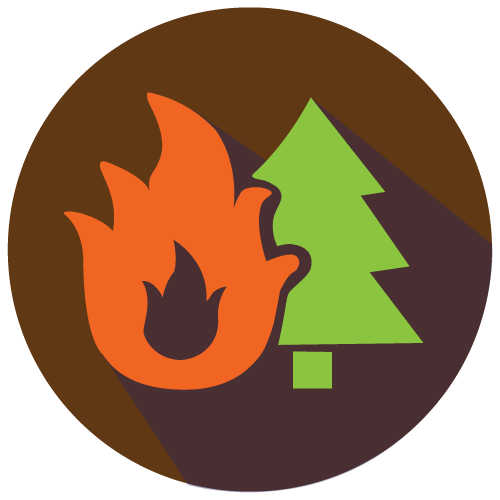 wildfire
