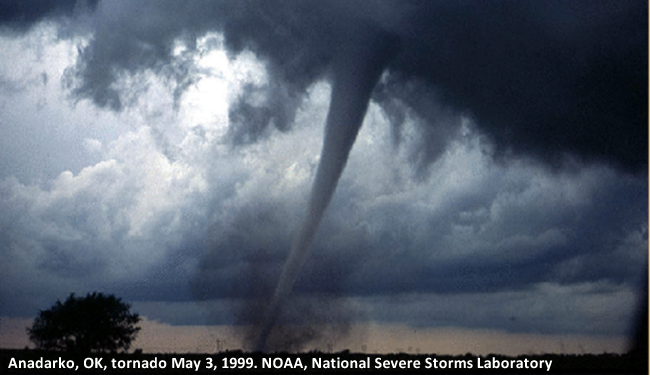 Among the damaged houses in yesterday's storm were these two on