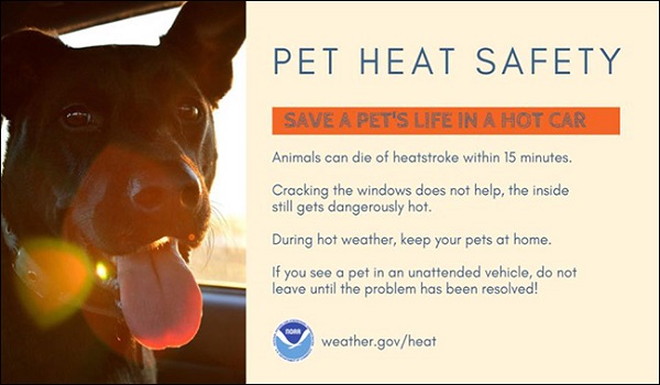 pregnant women, newborns, children, elderly, those with chronic illnesses are all especially subject to quickly overheating, Never leave them in a car. 