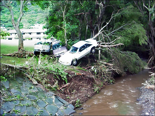 Flood waters pushed several vehicles into the trees immediately downstream from the Woodlawn Drive Bridge.