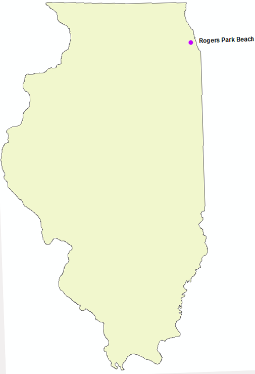 NWS Illinois Surf Deaths