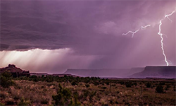 lightning in a park setting