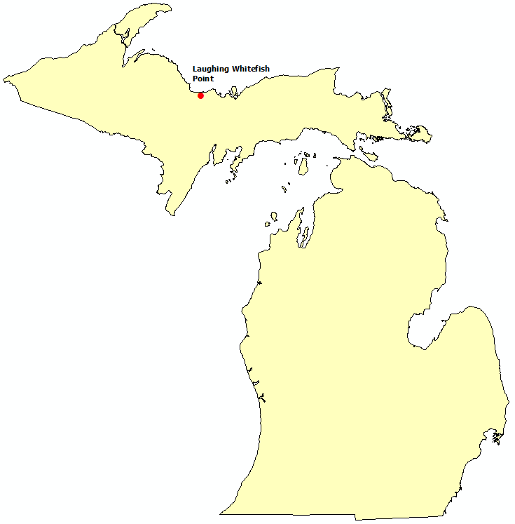 Michigan Surf Deaths