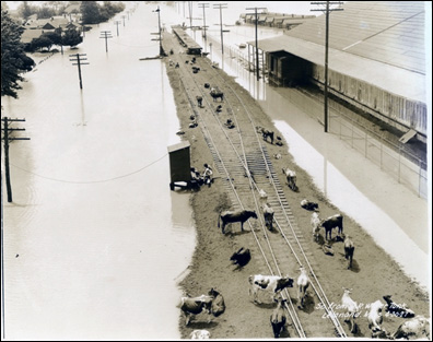 The Great Ohio River Flood of January 1937