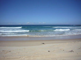 rip current