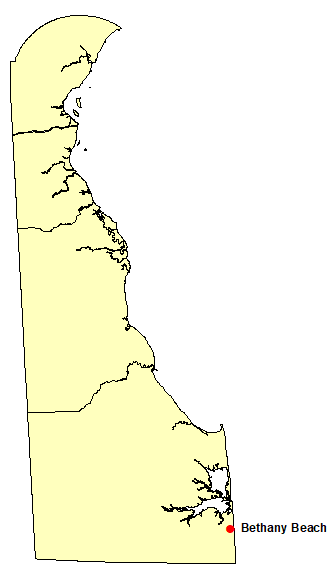 delaware surf deaths in 2020